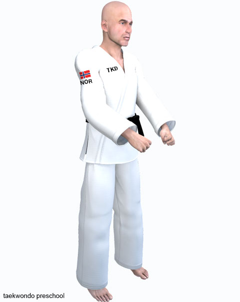 Taekwondo Ready Stance ( 기본준비 junbi )