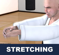 Taekwondo Stretching ( 스트레칭 seuteuleching )