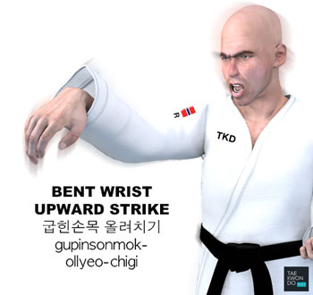 Bent Wrist Upward Strike ( 굽힌손목 올려치기 gupinsonmok-ollyeo-chigi )