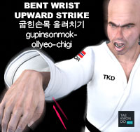 Bent Wrist Upward Strike ( 굽힌손목 올려치기 gupinsonmok-ollyeo-chigi )