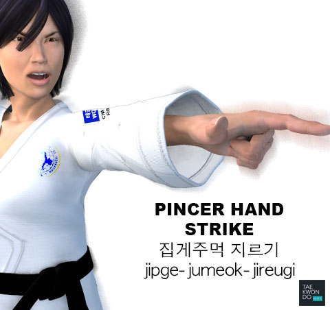 Pincer Hand Strike ( 집게주먹 지르기 jipge-jumeok-jireugi )