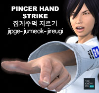 Pincer Hand Strike ( 집게주먹 지르기 jipge-jumeok-jireugi )