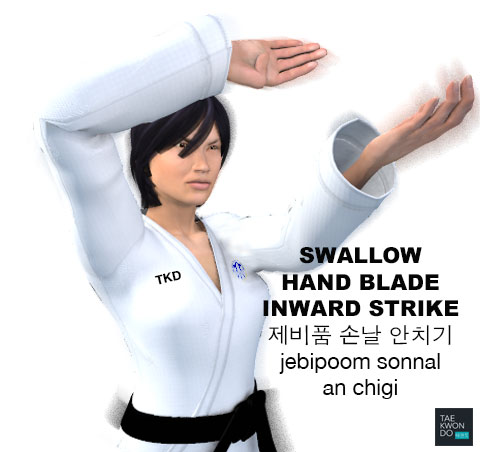 Swallow Hand Blade Inward Strike ( 제비품 (손날) 안치기 jebipoom-sonnal-an-chigi )