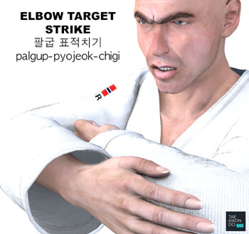 Taekwondo Elbow Target Strike ( 팔굽 표적치기 palgup-pyojeok-chigi )