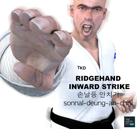 Ridgehand Inward Strike ( 손날등 안치기 sonnal-deung-an-chigi )