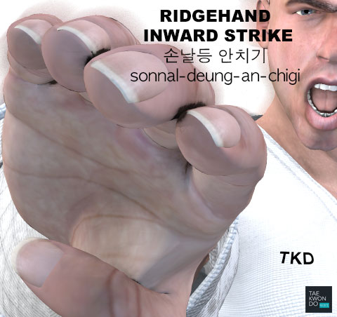 Ridgehand Inward Strike ( 손날등 안치기 sonnal-deung-an-chigi )