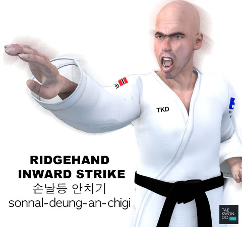 Ridgehand Inward Strike ( 손날등 안치기 sonnal-deung-an-chigi )