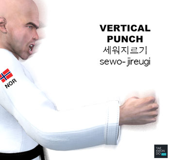 Vertical Punch ( 세워지르기 sewo-jireugi )