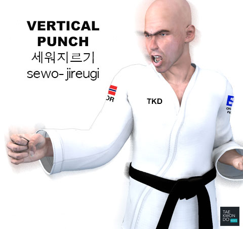 Vertical Punch ( 세워지르기 sewo-jireugi )