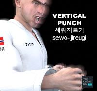 Vertical Punch ( 세워지르기 sewo-jireugi )