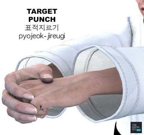 Taekwondo Target Punch ( 표적지르기 pyojeok-jireugi )