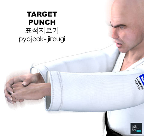 Target Punch ( 표적지르기 pyojeok-jireugi )