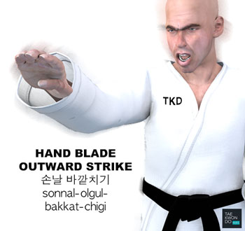 Hand Blade Outward Strike ( 손날 바깥치기 sonnal-olgul-bakkat-chigi )