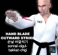 Hand Blade Outward Strike ( 손날 바깥치기 sonnal-olgul-bakkat-chigi )