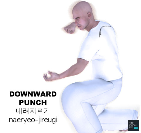 Downward Punch ( 내려지르기 naeryeo-jireugi )