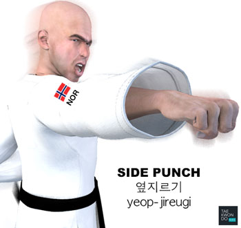 Side Punch ( 옆지르기 yeop-jireugi )