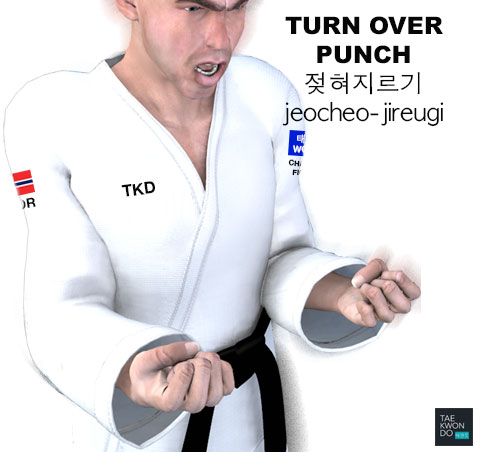 Turn Over Punch ( 젖혀지르기 Jeocheo-jireugi )