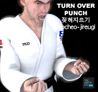 Turn Over Punch ( 젖혀지르기 jeocheo-jireugi )