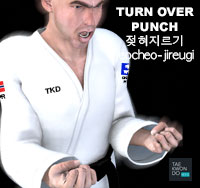 Turn Over Punch ( 젖혀지르기 jeocheo-jireugi )