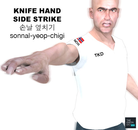 Hand Blade Side Strike ( 손날 옆치기 sonnal-yeop-chigi )