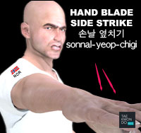 Hand Blade Side Strike ( 손날 옆치기 sonnal-yeop-chigi )