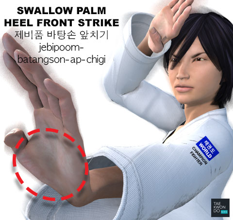 Swallow Palm Heel Front Strike ( 제비품 (바탕손) 앞치기 jebipoom-batangson-ap-chigi )