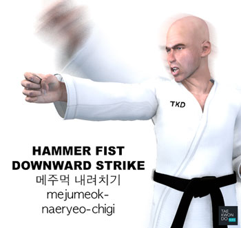 Hammer Fist Downward Strike ( 메주먹 내려치기 mejumeok-naeryeo-chigi )