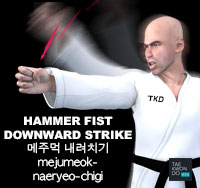 Hammer Fist Downward Strike ( 메주먹 내려치기 mejumeok-naeryeo-chigi )