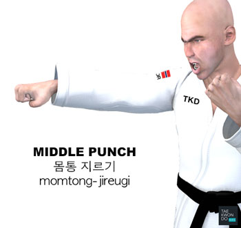 Middle Punch ( 몸통 지르기 momtong-jireugi )