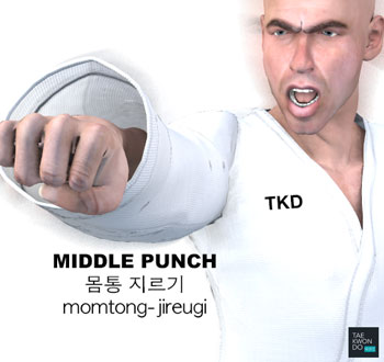 Middle Punch ( 몸통 지르기 momtong-jireugi )