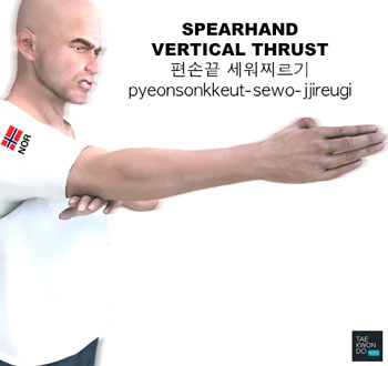 Spearhand Vertical Thrust ( 편손끝 세워찌르기 pyeonsonkkeut-sewo-jjireugi )