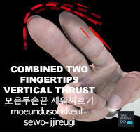 Combined Two Fingertips Vertical Thrust ( 모은두손끝 세워찌르기 moeundusonkkeut-sewo-jjireugi )