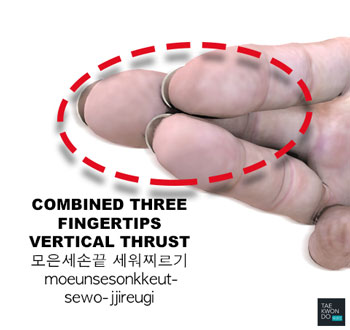 Combined Three Fingertips Vertical Thrust ( 모은세손끝 세워찌르기 moeunsesonkkeut-sewo-jjireugi )