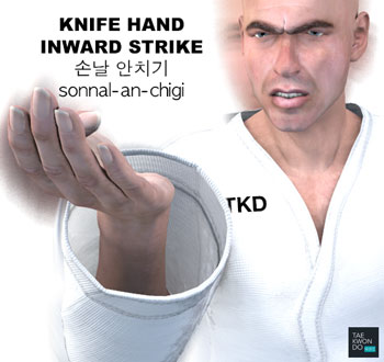 Knife Hand Inward Strike ( 손날 안치기 sonnal-an-chigi )