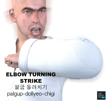 Elbow Turning Strike ( 팔굽 돌려치기 palgup-dollyeo-chigi )