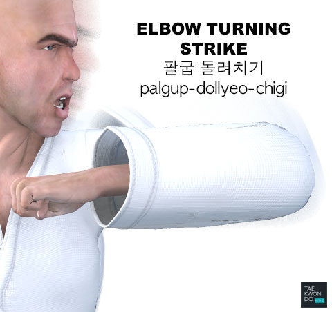 Turning Elbow Strike ( 팔굽 돌려치기 palgup-dollyeo-chigi )