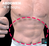 Abdomen ( 복부 bogbu )