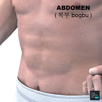 Abdomen ( 복부 bogbu )