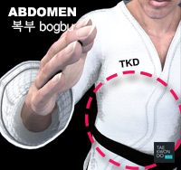 Abdomen ( 복부 bogbu )