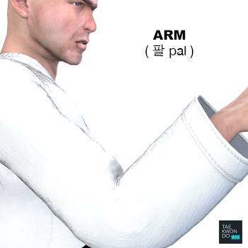 Arm ( 팔 pal )