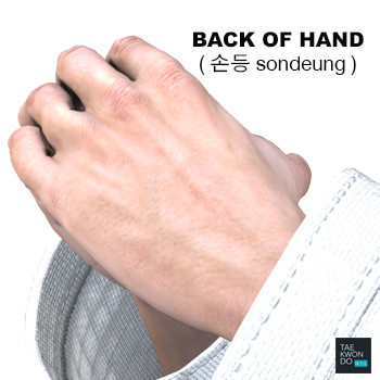 Back Hand ( 손등 sondeung )