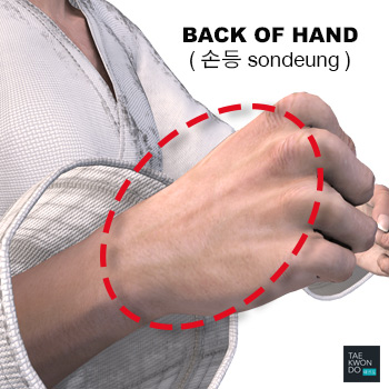 Back Hand ( 손등 sondeung )