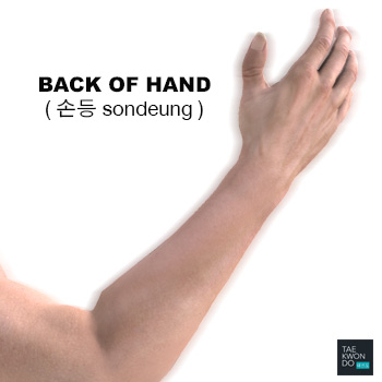 Back Hand ( 손등 sondeung )