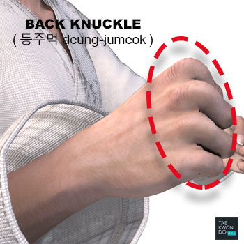 Back Knuckle ( 등주먹 deung-jumeok )