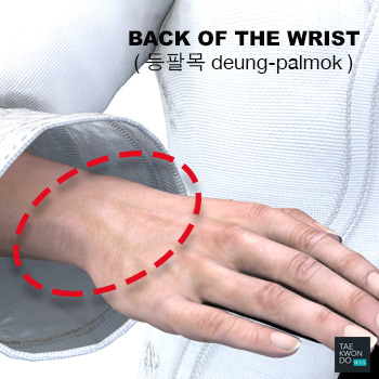 Back of the Wrist ( 등팔목 deung-palmok )