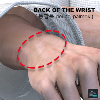 Back of the Wrist ( 등팔목 deung-palmok )