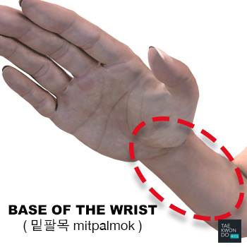 Base of the Wrist or Inner Wrist ( 밑팔목 mitpalmok )