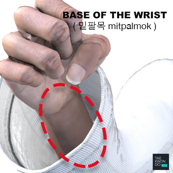 Base of the Wrist or Inner Wrist ( 밑팔목 mitpalmok )