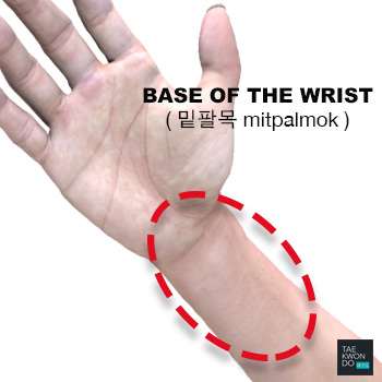 Base of the Wrist or Inner Wrist ( 밑팔목 mitpalmok )