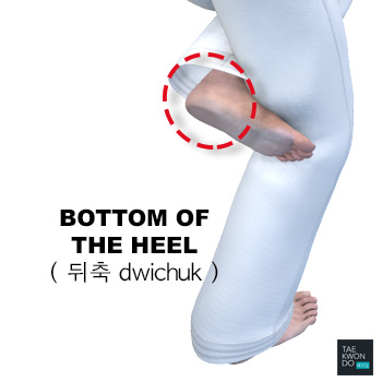 Bottom of the Heel ( 뒤축 dwichuk )